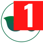 visisharp-48i.pages.dev favicon